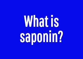 Jeopardy Quiz Can You Answer These Triple Stumper Questions Correctly