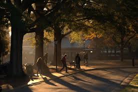 Early Morning Sunshine Streaming Across Campus Davidsoncollege Davidson College Liberal Arts College Liberal Arts