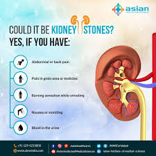 Kidneystones Make Most Of Indian S Lives Painful Surprisingly People Can T Detect This Disease Early Which Causes Furt Medical Science Medical Brain Anatomy