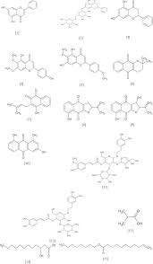 Image result for Dolichandrone alba