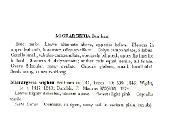 Image result for Micrargeria