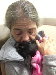 Please consider donating 🙏❤️ Bella is such a sweet girl and is in a lot of  pain right now with her cancer. It hurts to watch her struggle to even  walk. Any