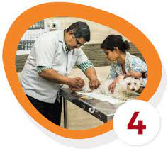 Hire from verified professionals for pets relocation in india pet relocation is a tough job for every packers and movers because transportation of a living being is concerned. Home Petfly India Pet Shipping Worldwide
