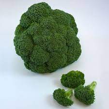 Check spelling or type a new query. Hybrid Broccoli Lieutenant