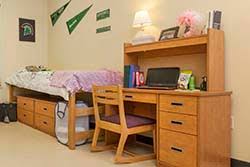 Learn more about university housing. Bed Lofting Usc Upstate