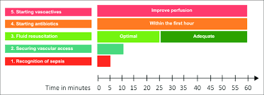 Jul 13, 2016 · how is suspected sepsis treated? Steps To Measure Adherence To Treatment Download Scientific Diagram