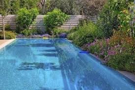 Poolside Gardens What Are Some Poolside Plants