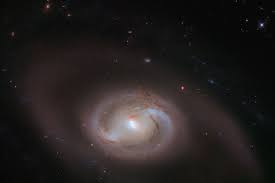 Jul 24, 2020 · ngc 2608 located in the constellation cancer, the barred spiral galaxy appears like a smaller version of the milky way. Barred Spiral Galaxy Archives Universe Today