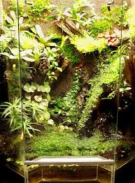 Paludarium Gallery Part 2 Paludariums Net