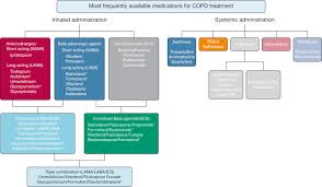 Image result for Medications in COPD Management