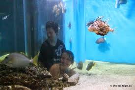 Centrul muzeal ecoturistic ,,delta dunarii, tulcea. Muzeul Delta DunÄƒrii Tulcea Dreamtrips Ro