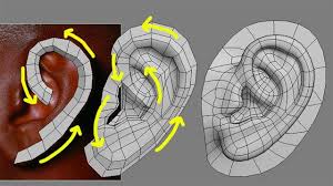 Reference Topology Head Recherche Google Maya Modeling Character Design Face Topology