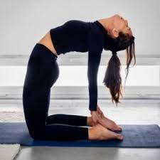 Check spelling or type a new query. 18 Morning Yoga Stretches And Poses To Start Your Day Yoga Basics