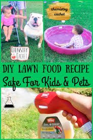 Biosafe pet friendly weed killer: Cheap Safe And Incredibly Effective Homemade Lawn Food