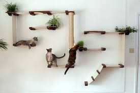 Katzen Kletterlandschaft Mit Integrierten Zimmerpflanzen Cat Design Ideas Katzen Kletterwand Katzen Hangematte Kletterwand