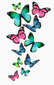 Brown and black butterfly flying above beautiful flowers. Butterflies Flying Wallpaper Clipart Citypng