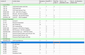 Tracking Mandatory Codes Via P6 Qa