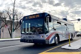 Image result for Bussea