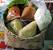 Charity Food Parcel