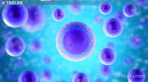 Maybe you would like to learn more about one of these? What Is Cell Theory Definition Timeline Parts Video Lesson Transcript Study Com