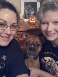 Are you Halloween ready with your dog?