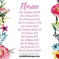 Reto Florece Junto A Creativasyamigas Comenzaremos Manana Podemos Hacer Algo En Nuestra Biblia U Biblia De Apuntes Reflexiones De Dios Biblia