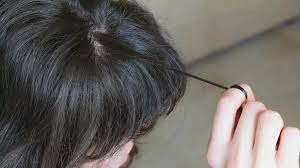 Image result for Hair Pull Test