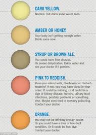 Pin By Kjev On Health Color Of Urine Urinal Health