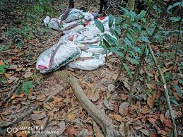 Masalah yang terjadi pada tubuh dapat diatasi dengan resep daun baru cina untuk kesehatan rahim, menghilangkan nyeri haid dan wasir. Pga Rampas 510kg Daun Ketum Di Felcra Lubuk Sireh