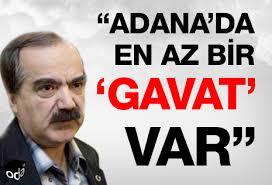 Kayseri'de bir toplantıya katılan akp genel başkan yardımcısı numan kurtulmuş, adana valisi hüseyin avni coş'un 10 kasım törenlerinde bir protestocuya 'gavat'. Adana Da En Az Bir Gavat Var