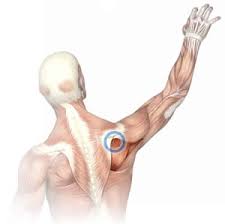 Although home treatments sometimes relieve the pain, it is. Massage For Shoulder Pain