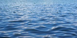 We did not find results for: 5 Manfaat Laut Bagi Kehidupan Makhluk Hidup Produksi Oksigen Lebih Banyak Merdeka Com