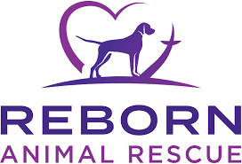 Home Reborn Animal Rescue