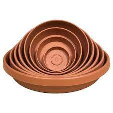 Terra 6 In Plant Saucer Tray In Living Green Plant Saucer Plastic Plants Plastic Plant Saucer