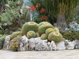 Fr 1er Site Meteo Pour Paris Et L Ile De France Previsions Meteo A 15 Jours Gratuites Paris Weather Forecast Jardin Interieur Plante Ile De France