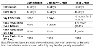 14 methodical air force article 15 punishment chart