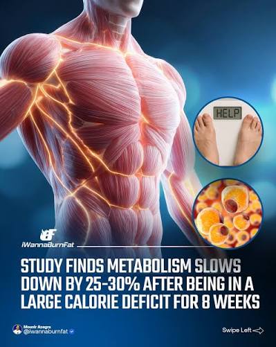AI Nutrition Tracking and Deficit Burnout Prevention