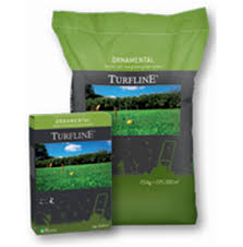 In Sprijinul Dumneavoastra Drinks Coffee Bag Coffee