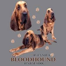 details about if not bloodhound just dog pick your size hood sweatshirt