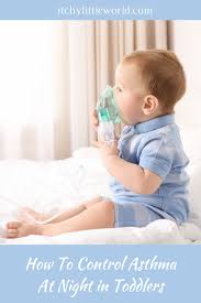 Pin By The Eczema Company Remedies On Asthma Info In 2020 Asthma Treatment Asthma Attacks Natural Asthma Remedies
