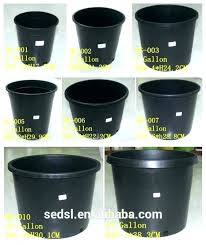 Plant Container Size Chart Developerridge Info