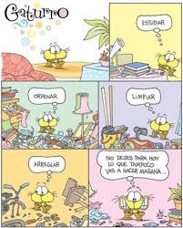 Las Tareas Domesticas Gaturro Historietas De Gaturro Dibujo Humoristico