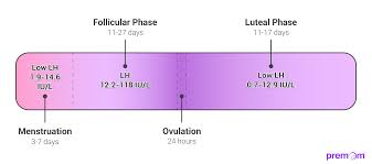 LH Hormone Levels: What is Normal? - Premom India
