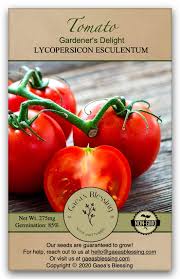 Your bountiful heirloom tomato harvests are just a summer away! Gaea S Blessing Seeds Cherry Tomato Seeds Gardener S Delight Sugar Lump 100 Seeds Heirloom Non Gmo Seeds With Easy To Follow Planting Instructions Open Pollinated 85 Germination Rate Buy Online