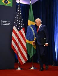 Image result for Bidens flagellata