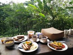 Pusat bekam de ieman hulu langat, selangor memberi khidmat bekam wajah, bekam darah, bekam angin, bekam resdung dan bekam kepala. A Break From The City Within 1 Hour Drive From Kl Review Of Taman Sari B B Hulu Langat Malaysia Tripadvisor