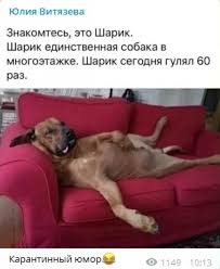Вакцинация обязательна для некоторых категорий граждан: Otbornyj Yumor Na Temu Karantina I Samoizolyacii Chast Ii Petrozavodsk Govorit Gazeta Petrozavodsk Online Novosti Petrozavodska I Karelii