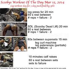 swod scooby s workout of the day