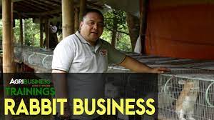 Maybe you would like to learn more about one of these? Rabbitry Business Latest Complete Guide In Rabbit Breeding Agribusiness How It Works Youtube