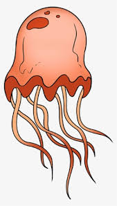 Billed once per month until cancelled. How To Draw Jellyfish Drawing Transparent Png 680x678 Free Download On Nicepng